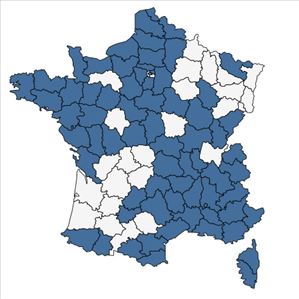 Répartition de Hyoscyamus niger L. en France