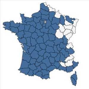 Répartition de Hypericum androsaemum L. en France