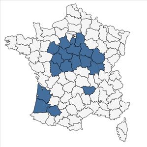 Répartition de Trifolium subterraneum L. subsp. subterraneum en France