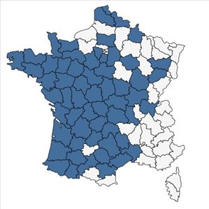 Répartition de Hypericum elodes L. en France