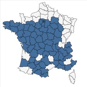 Répartition de Amaranthus graecizans L. en France