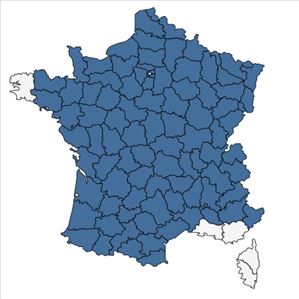 Répartition de Hypericum hirsutum L. en France