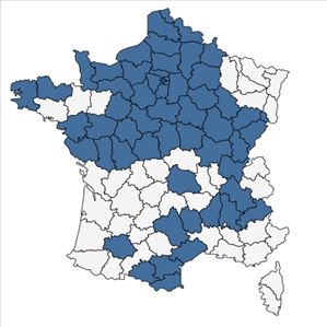 Répartition de Cerastium arvense L. subsp. arvense en France