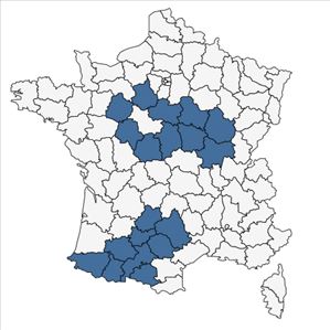 Répartition de Helianthemum nummularium (L.) Mill. var. nummularium en France