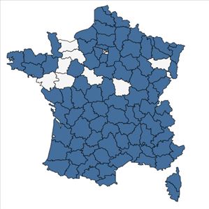 Répartition de Hypericum montanum L. en France