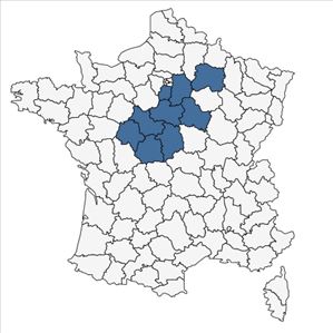 Répartition de Laserpitium latifolium L. subsp. latifolium var. latifolium en France