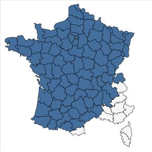 Répartition de Hypericum pulchrum L. en France