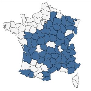 Répartition de Laserpitium latifolium L. subsp. latifolium en France