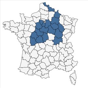 Répartition de Potentilla supina L. subsp. supina en France