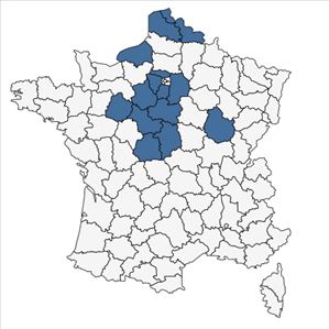 Répartition de Dactylorhiza praetermissa (Druce) Soó subsp. praetermissa en France