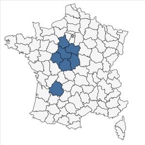 Répartition de Lathyrus niger (L.) Bernh. subsp. niger var. niger en France