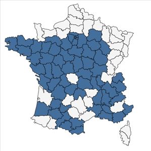 Répartition de Amaranthus graecizans subsp. silvestris (Vill.) Brenan en France