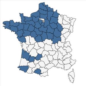 Répartition de Pedicularis sylvatica L. subsp. sylvatica en France