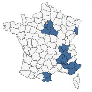 Répartition de Inula hirta L. en France