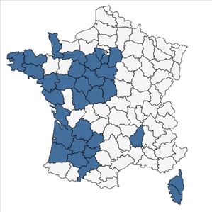 Répartition de Erica scoparia L. subsp. scoparia en France