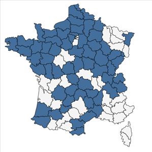 Répartition de Luzula sylvatica (Huds.) Gaudin subsp. sylvatica en France