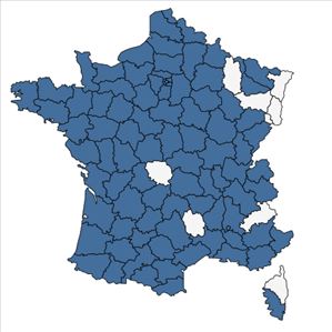 Répartition de Iris foetidissima L. en France