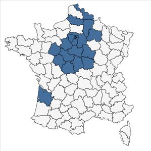 Répartition de Ranunculus parviflorus L. subsp. parviflorus en France