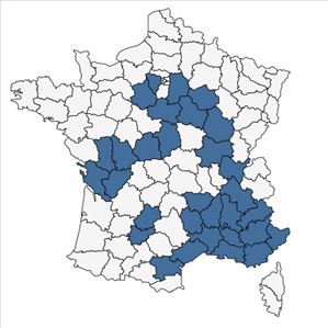 Répartition de Sisymbrella aspera (L.) Spach subsp. aspera en France