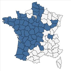 Répartition de Isolepis fluitans (L.) R.Br. en France
