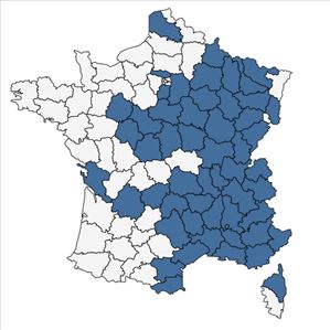 Répartition de Thalictrum minus subsp. saxatile Ces. en France