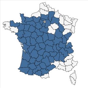 Répartition de Isopyrum thalictroides L. en France