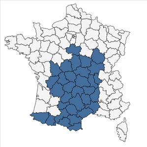 Répartition de Jacobaea adonidifolia (Loisel.) Pelser & Veldkamp en France