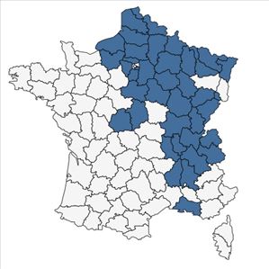 Répartition de Jacobaea paludosa (L.) G.Gaertn., B.Mey. & Scherb. en France