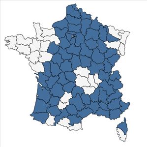 Répartition de Primula vulgaris Huds. subsp. vulgaris en France