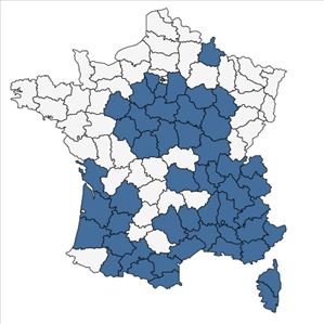 Répartition de Trifolium scabrum L. subsp. scabrum en France