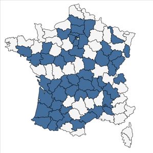 Répartition de Juglans nigra L. en France