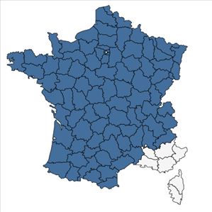 Répartition de Juncus acutiflorus Ehrh. ex Hoffm. en France