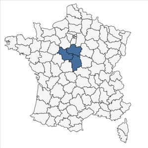 Répartition de Achillea ptarmica L. subsp. ptarmica var. ptarmica en France