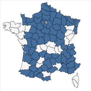 Répartition de Helictochloa pratensis (L.) Romero Zarco subsp. pratensis en France