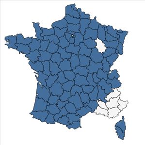 Répartition de Juncus bulbosus L. en France