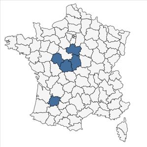 Répartition de Silaum silaus (L.) Schinz & Thell. var. silaus en France