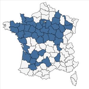 Répartition de Trifolium medium L. subsp. medium en France