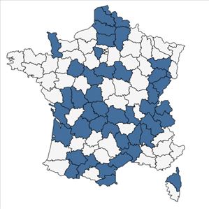 Répartition de Viola canina L. subsp. canina en France