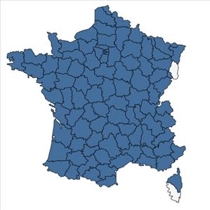 Répartition de Juncus inflexus L. en France