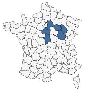 Répartition de Deschampsia media (Gouan) Roem. & Schult. subsp. media en France