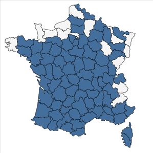 Répartition de Juncus tenageia Ehrh. ex L.f. en France