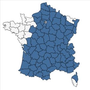 Répartition de Juniperus communis L. en France