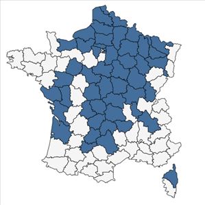 Répartition de Papaver dubium subsp. lecoqii (Lamotte) Syme en France