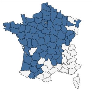 Répartition de Papaver dubium L. subsp. dubium en France