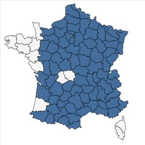 Répartition de Koeleria pyramidata (Lam.) P.Beauv. en France