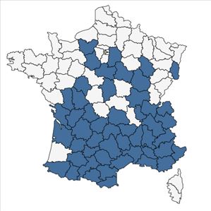 Répartition de Koeleria vallesiana (Honck.) Gaudin en France