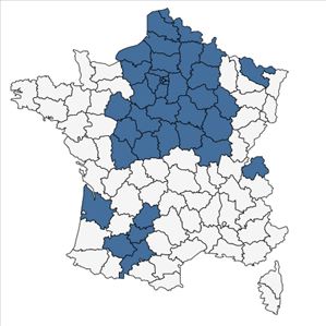 Répartition de Ranunculus sceleratus L. subsp. sceleratus en France