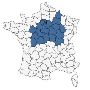 Répartition de Sparganium emersum Rehmann subsp. emersum en France