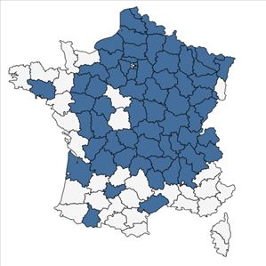 Répartition de Aethusa cynapium L. subsp. cynapium en France