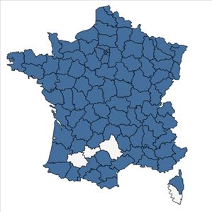 Répartition de Agrostis gigantea Roth en France